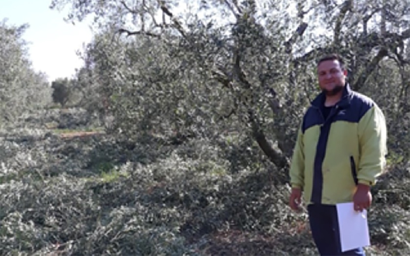 Chestnuts, Olives and Rice, an alternative tour