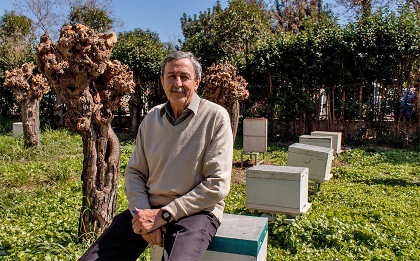 Teaching beekeeping