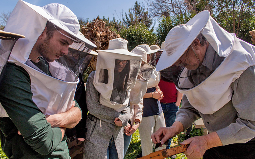 Apiculture Training Seminars