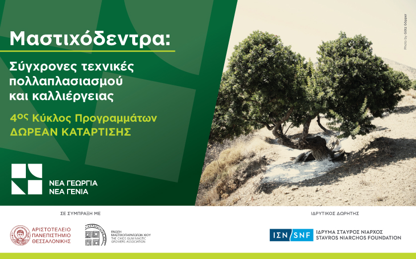 Το δωρεάν πρόγραμμα κατάρτισης στις τεχνικές καλλιέργειας μαστιχόδεντρων τώρα στη Χίο!