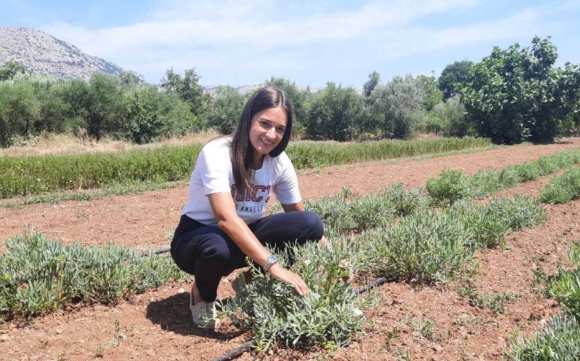 Οργανικά πιστοποιημένα αρωματικά φυτά και βότανα υψηλής ποιότητας, με σεβασμό στη Χιακή γη