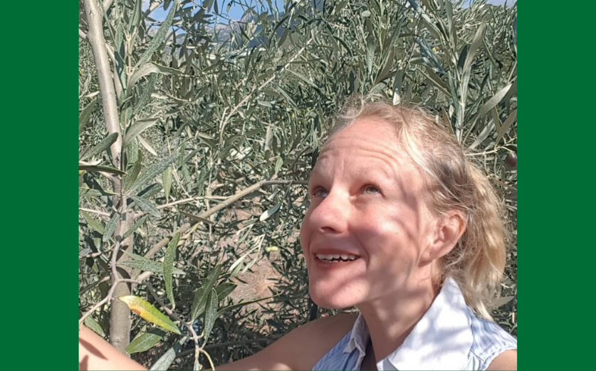 Η αναγεννητική γεωργία στην παραγωγή εξαιρετικά παρθένου ελαιόλαδου