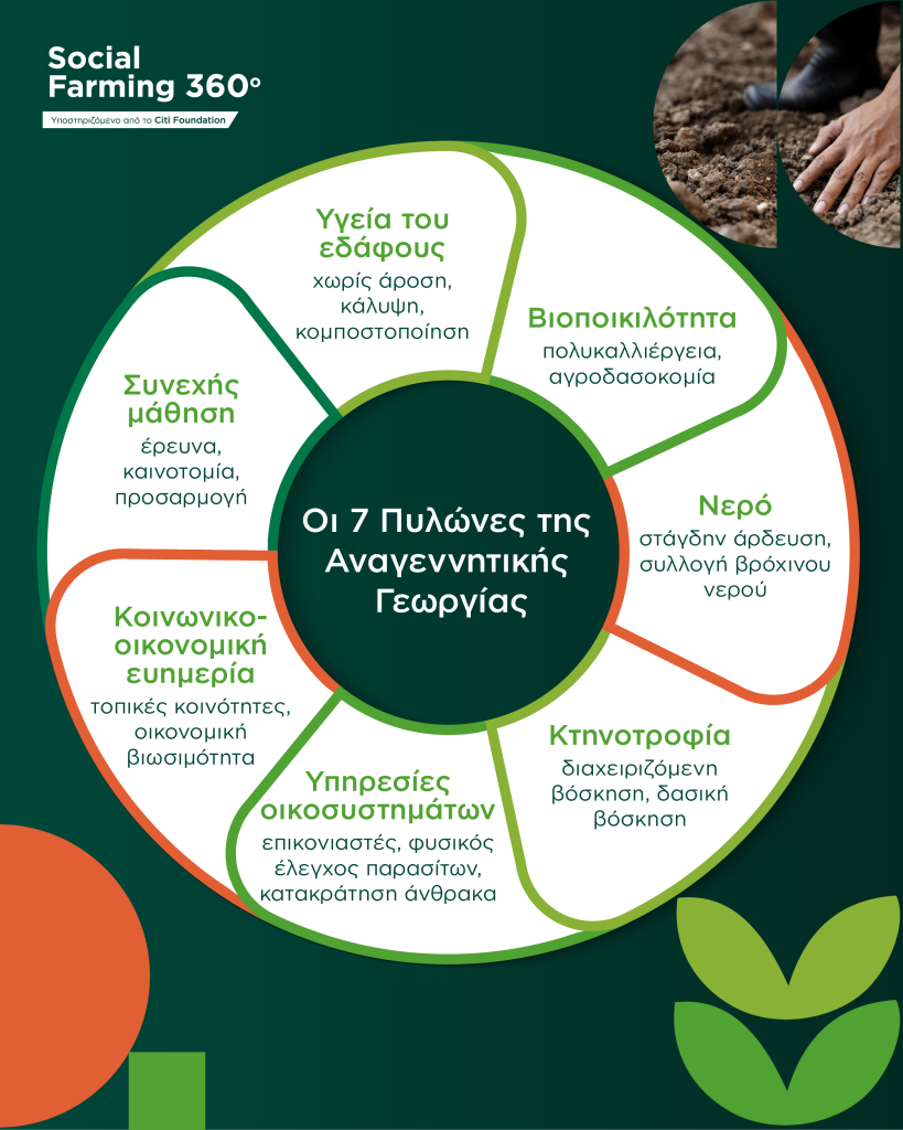 NANG_Social_Farming_360_Some_infographic-09