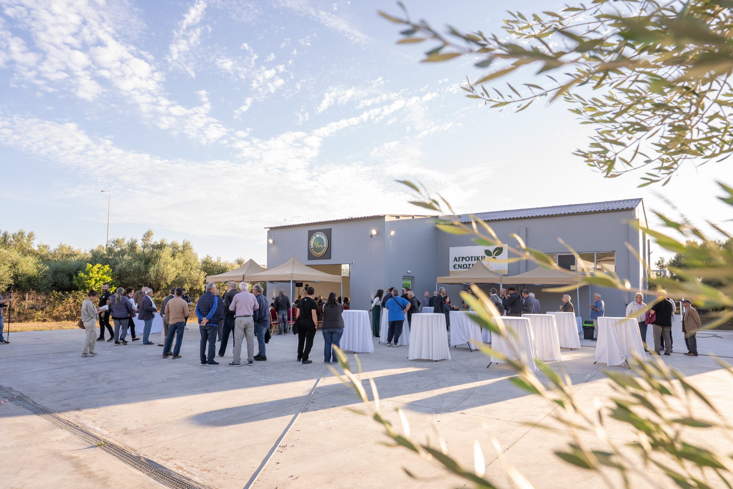 With a Great Turnout and Excellent Discussions, the Final Event of the “Open Olive Oil Academy” Program Took Place