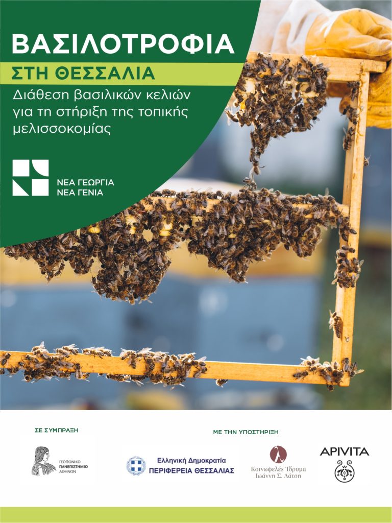 vassilotrofiathessalia1